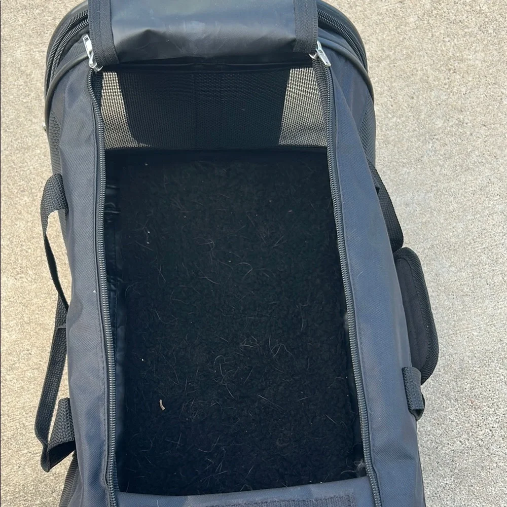 Collapsible cat carrier